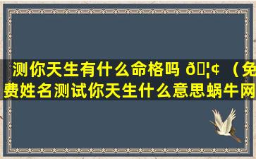 测你天生有什么命格吗 🦢 （免费姓名测试你天生什么意思蜗牛网）